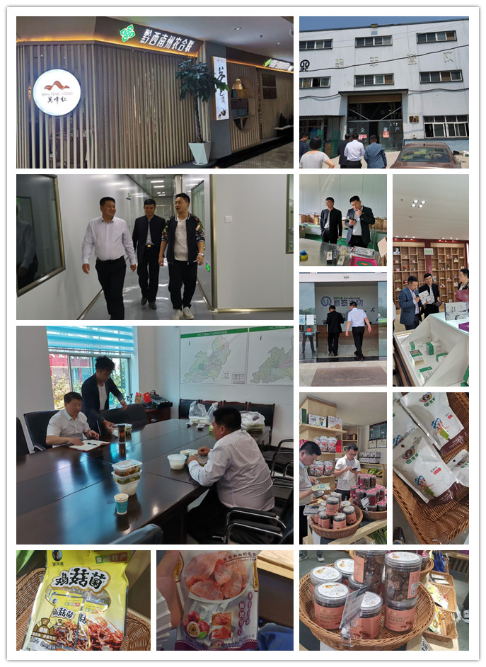 bti体育平台·(中国)官方网站