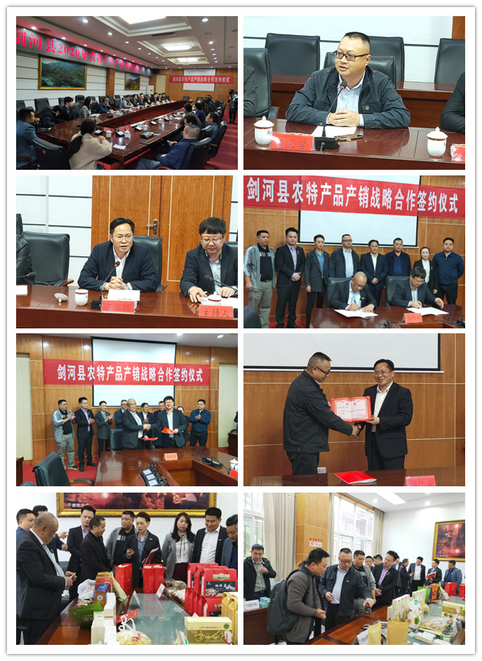 bti体育平台·(中国)官方网站