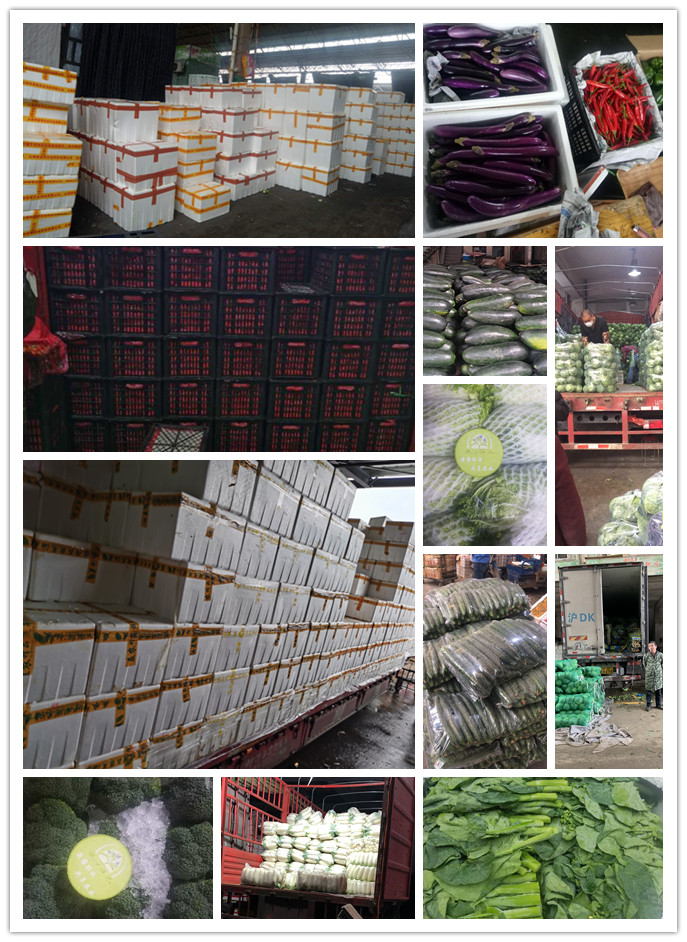 bti体育平台·(中国)官方网站