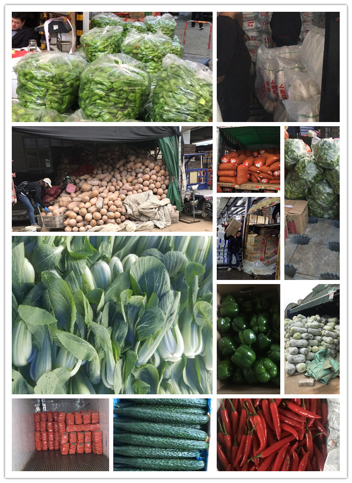 bti体育平台·(中国)官方网站