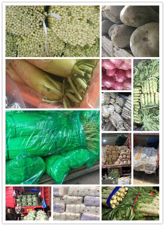 bti体育平台·(中国)官方网站