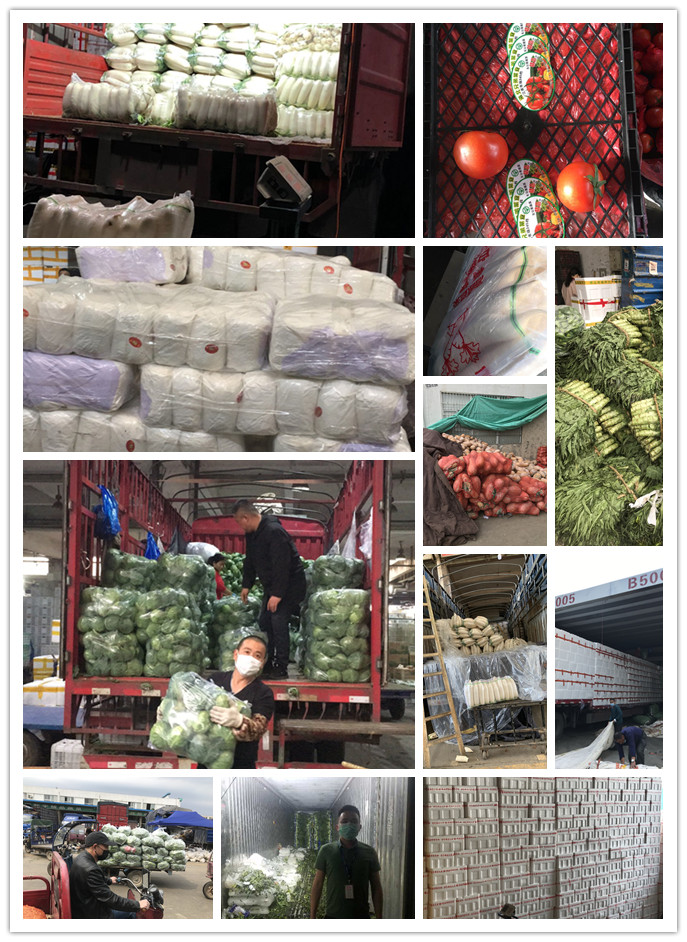 bti体育平台·(中国)官方网站