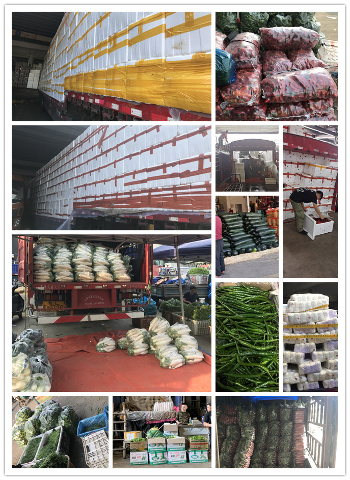 bti体育平台·(中国)官方网站