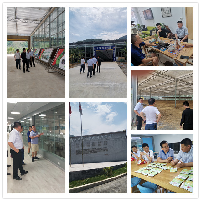 bti体育平台·(中国)官方网站