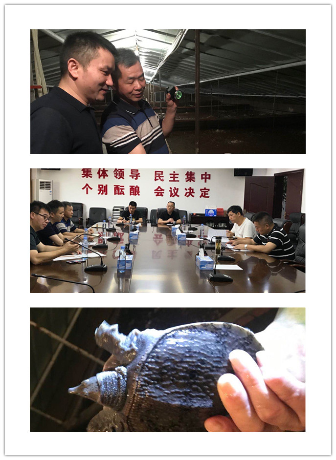 bti体育平台·(中国)官方网站