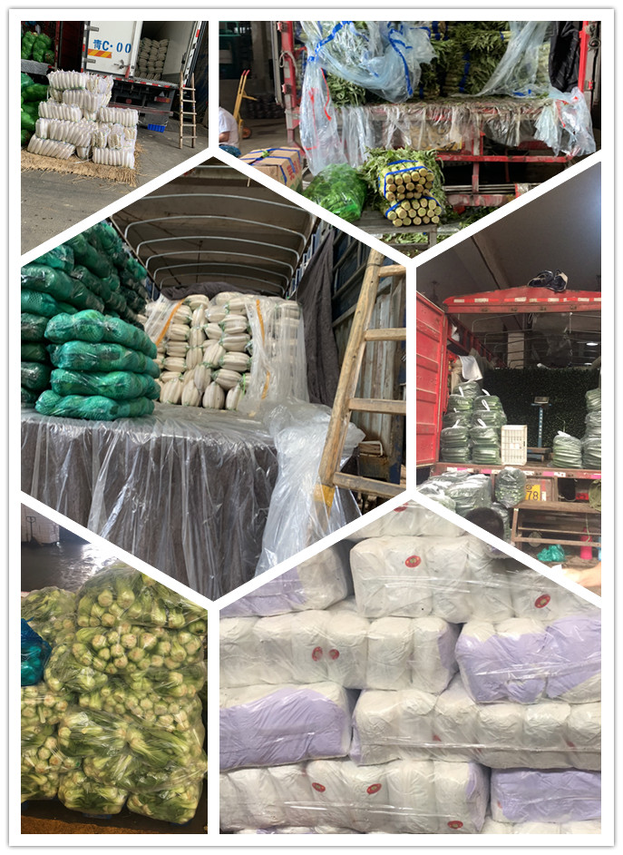 bti体育平台·(中国)官方网站