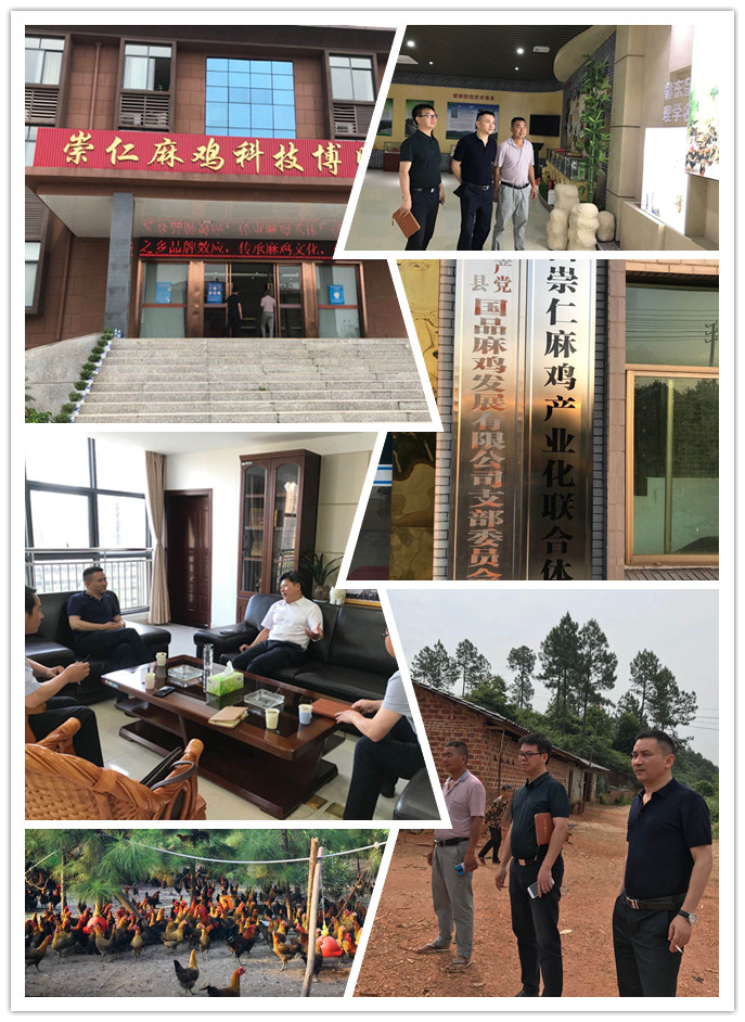 bti体育平台·(中国)官方网站