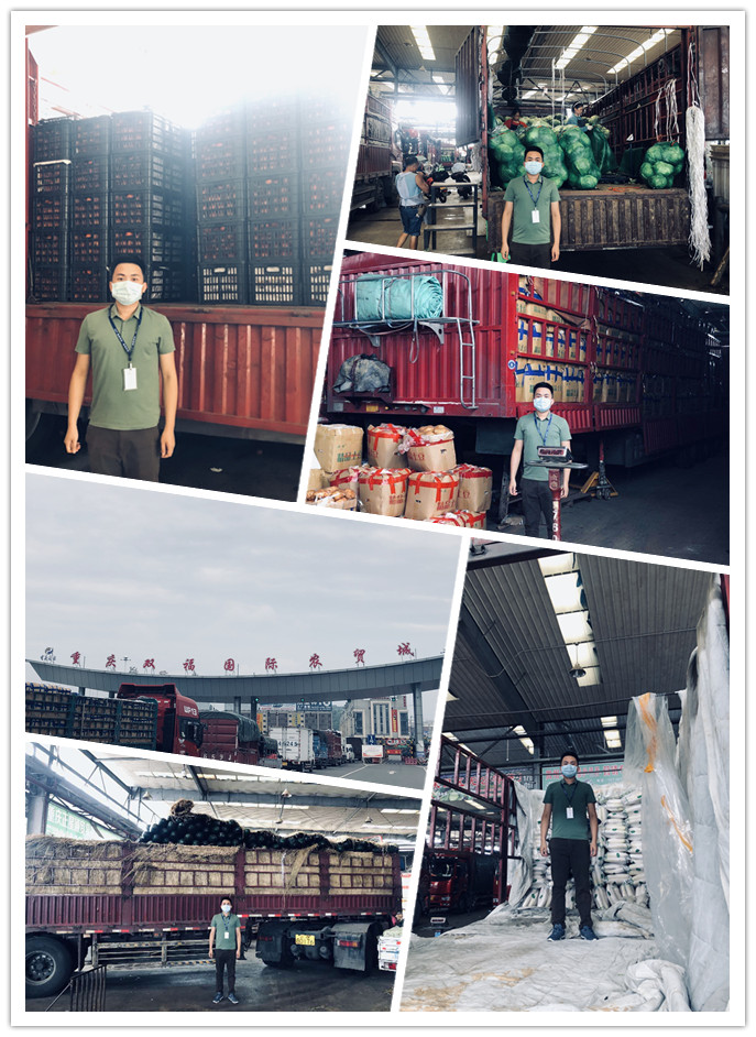 bti体育平台·(中国)官方网站