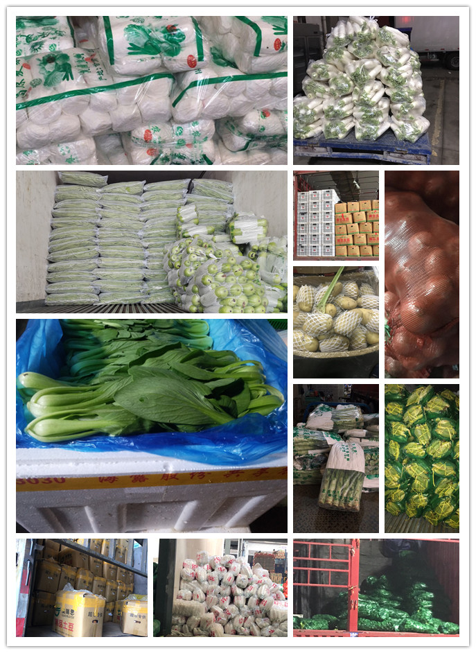 bti体育平台·(中国)官方网站