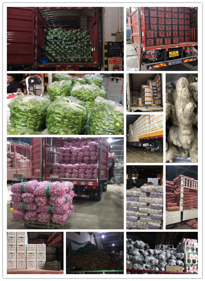 bti体育平台·(中国)官方网站