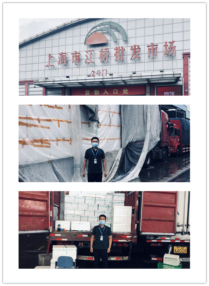 bti体育平台·(中国)官方网站