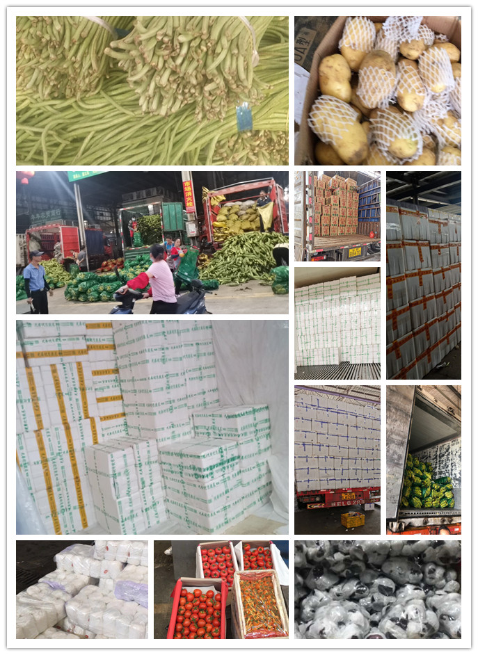 bti体育平台·(中国)官方网站