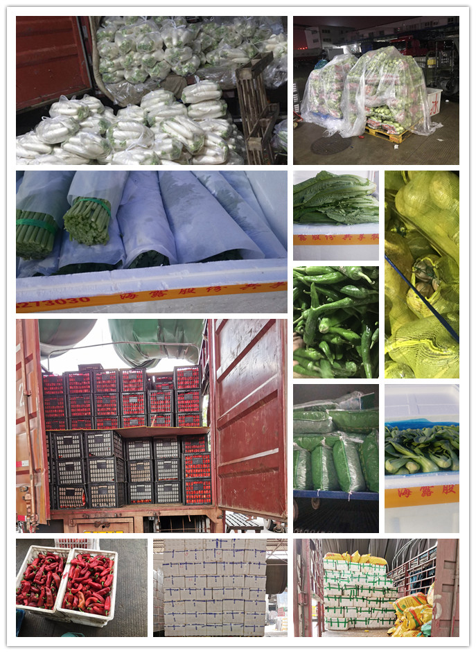 bti体育平台·(中国)官方网站