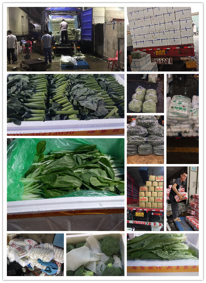 bti体育平台·(中国)官方网站