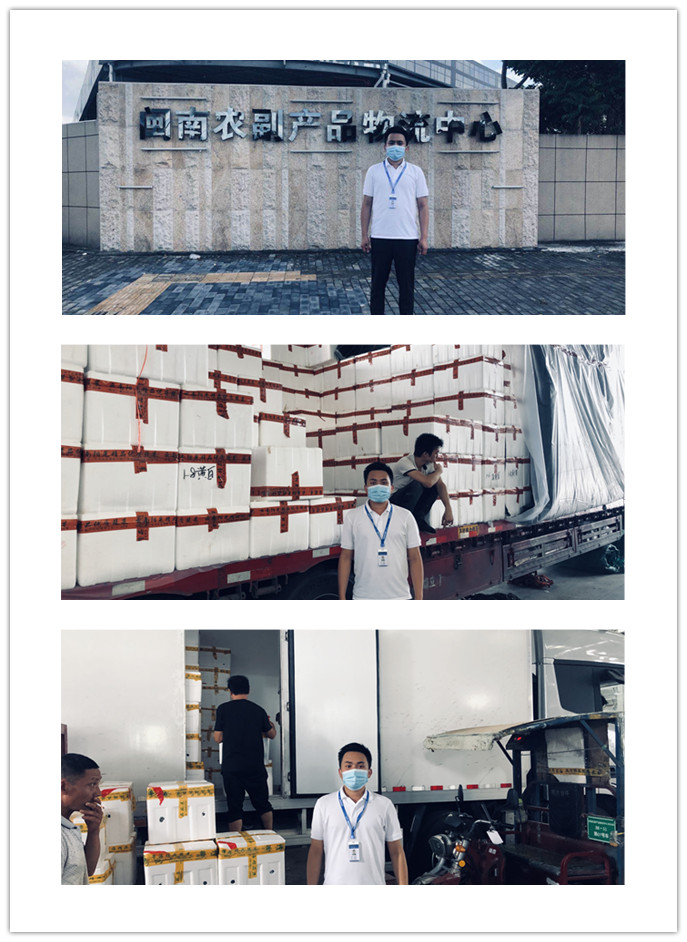 bti体育平台·(中国)官方网站