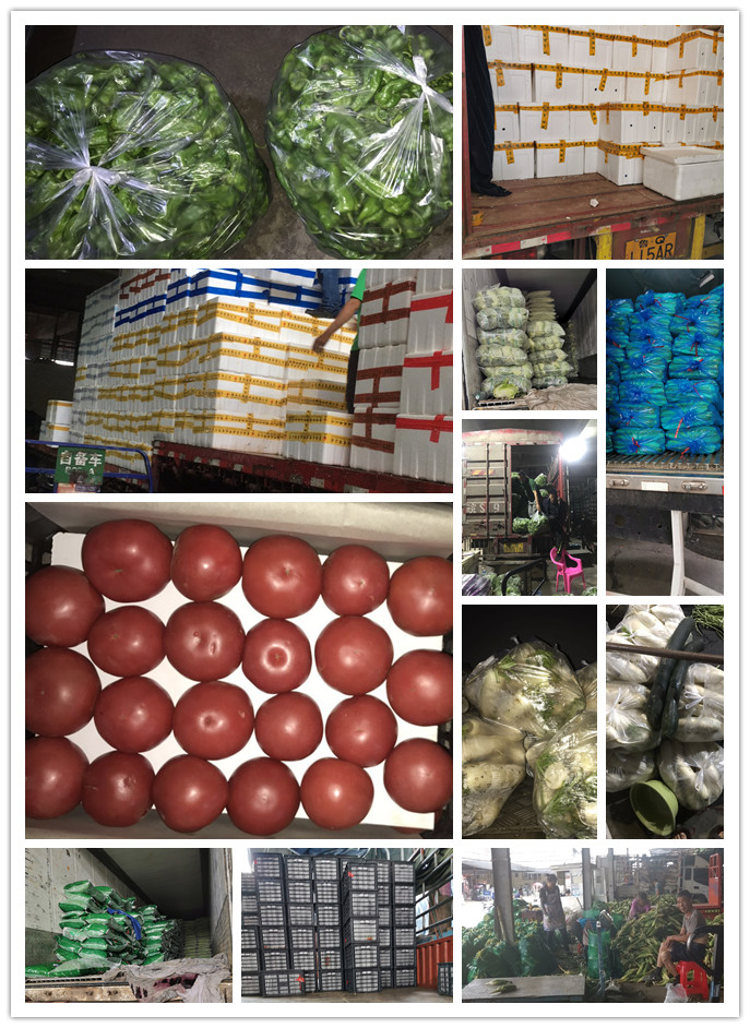 bti体育平台·(中国)官方网站