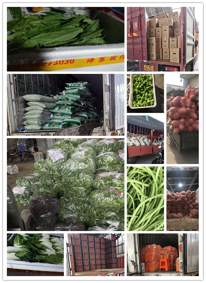 bti体育平台·(中国)官方网站