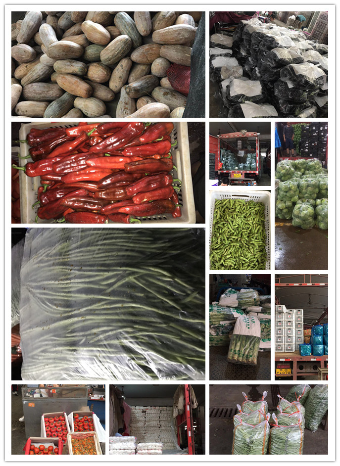 bti体育平台·(中国)官方网站