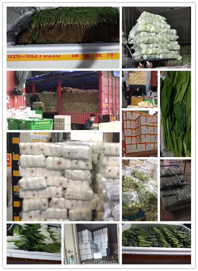 bti体育平台·(中国)官方网站