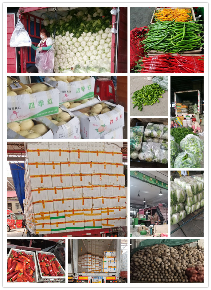 bti体育平台·(中国)官方网站