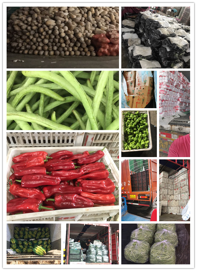 bti体育平台·(中国)官方网站