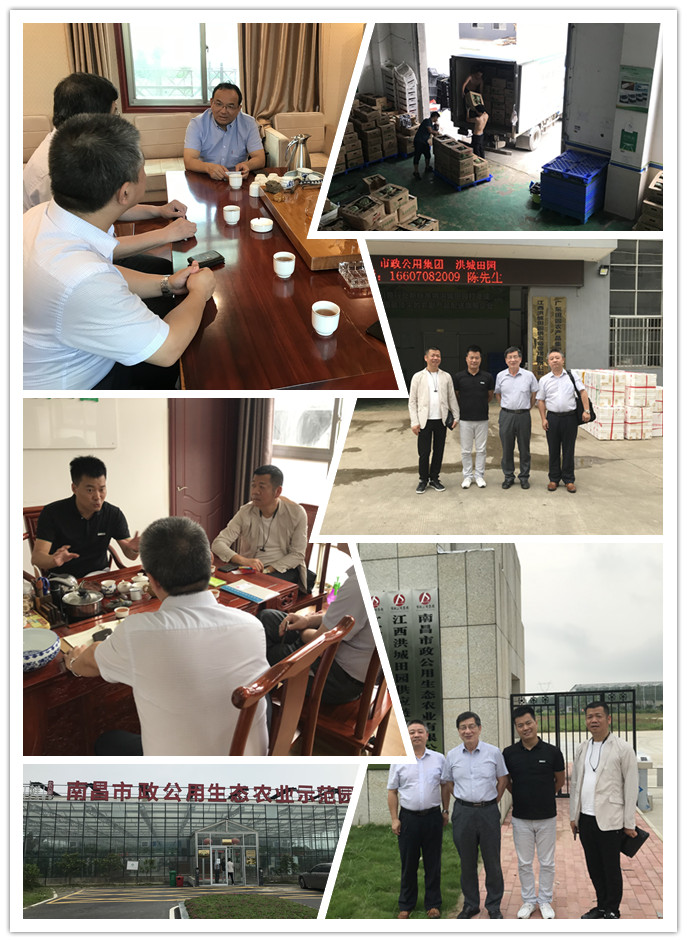 bti体育平台·(中国)官方网站