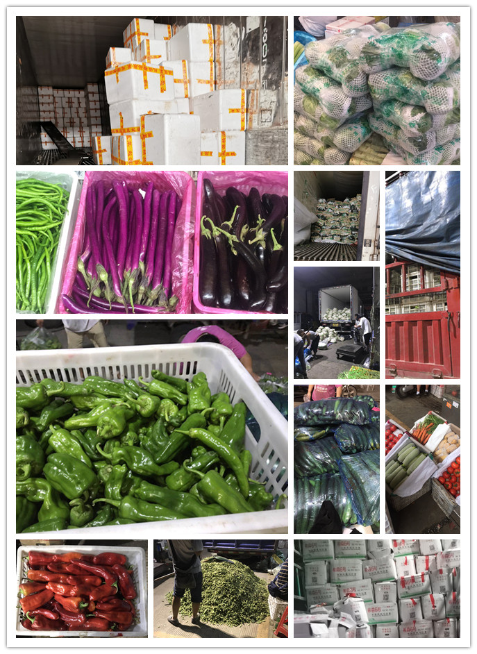 bti体育平台·(中国)官方网站