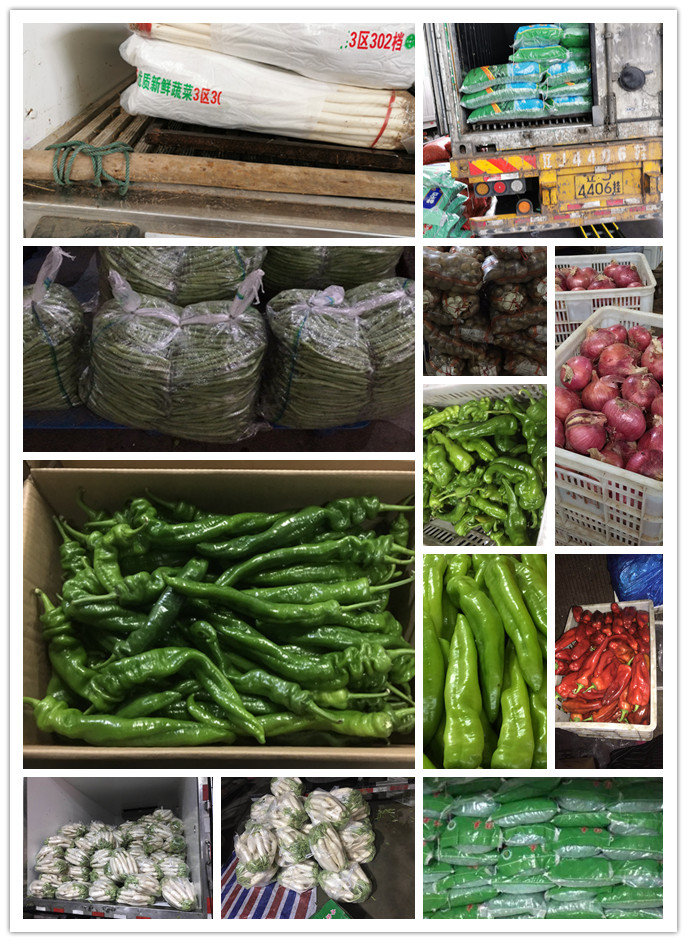 bti体育平台·(中国)官方网站