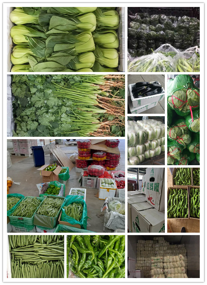 bti体育平台·(中国)官方网站