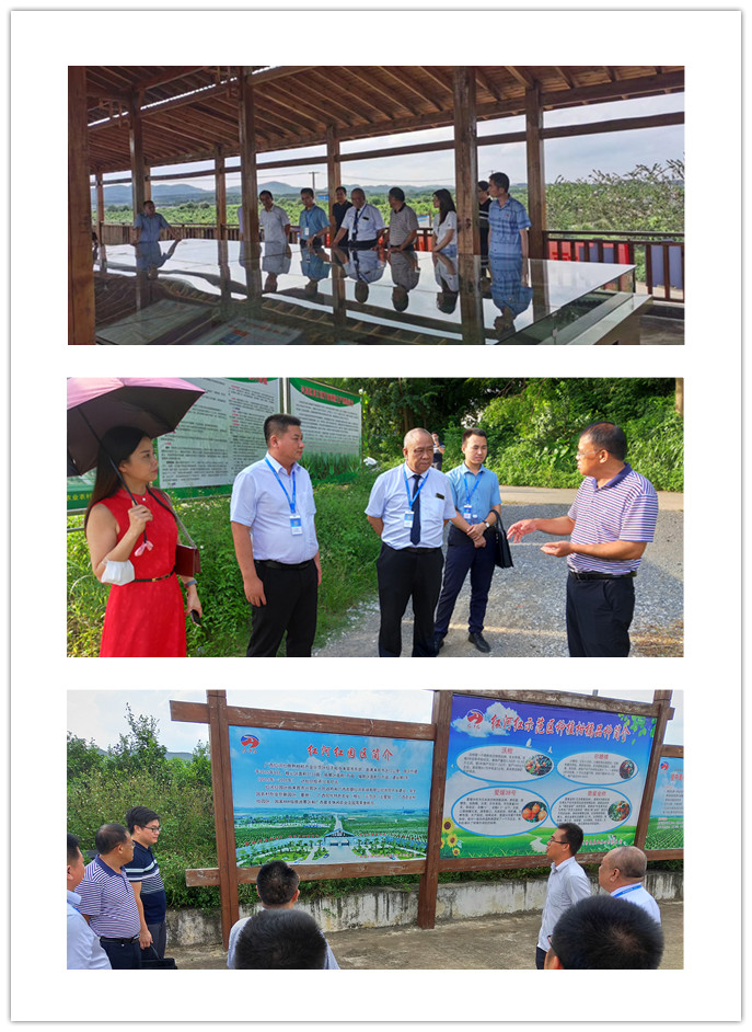 bti体育平台·(中国)官方网站