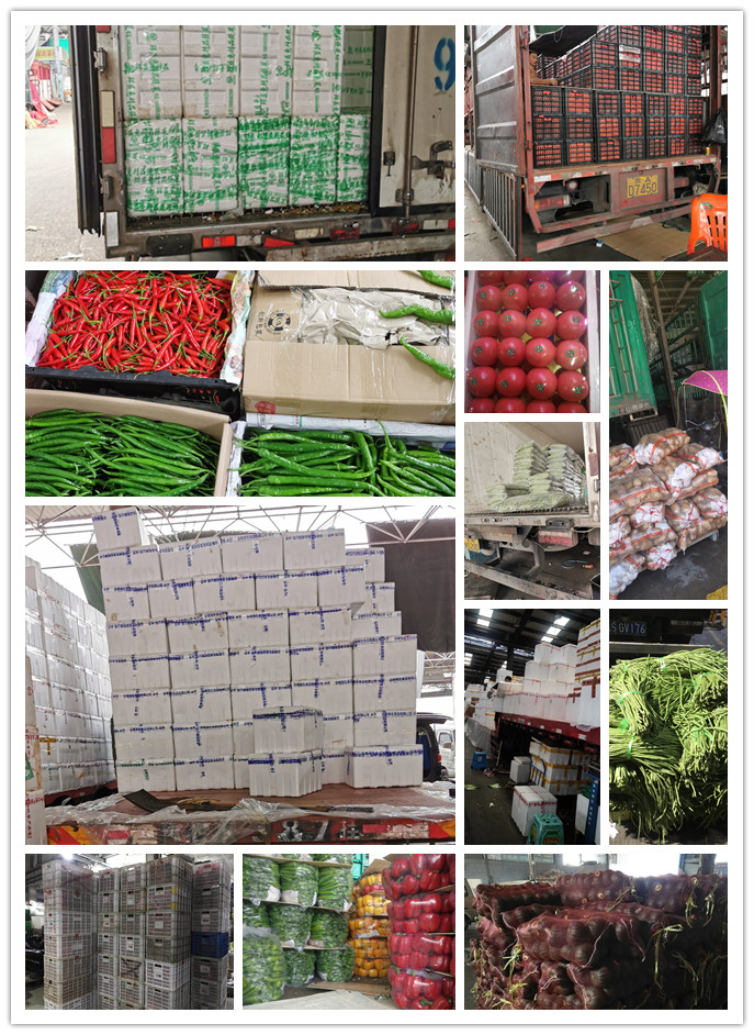 bti体育平台·(中国)官方网站