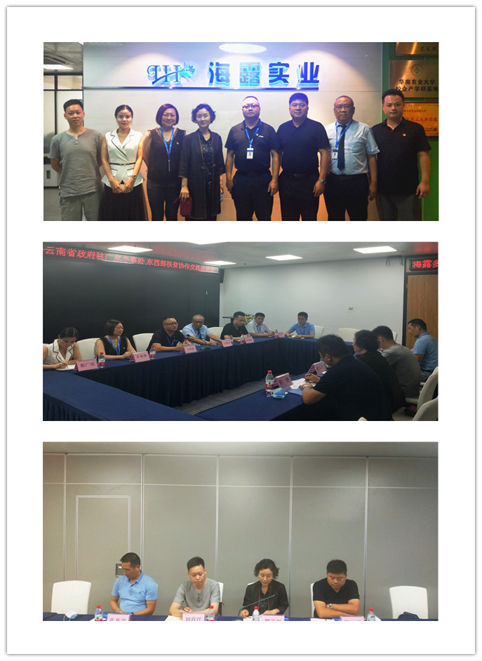 bti体育平台·(中国)官方网站