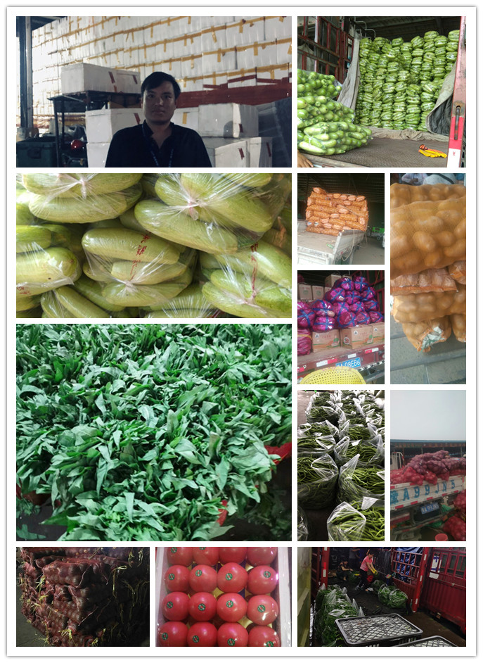 bti体育平台·(中国)官方网站