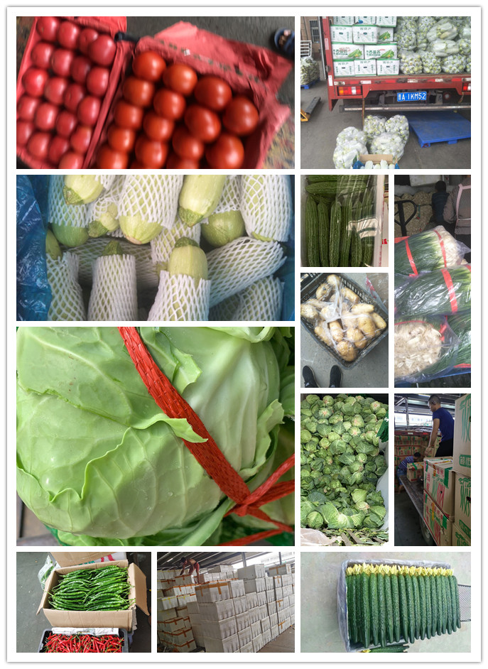 bti体育平台·(中国)官方网站