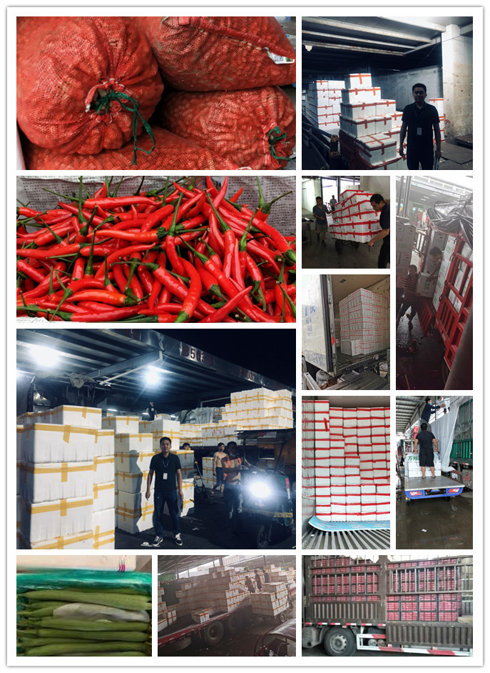 bti体育平台·(中国)官方网站