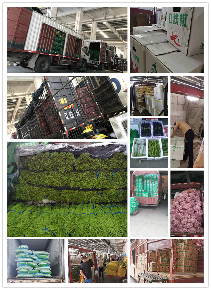 bti体育平台·(中国)官方网站