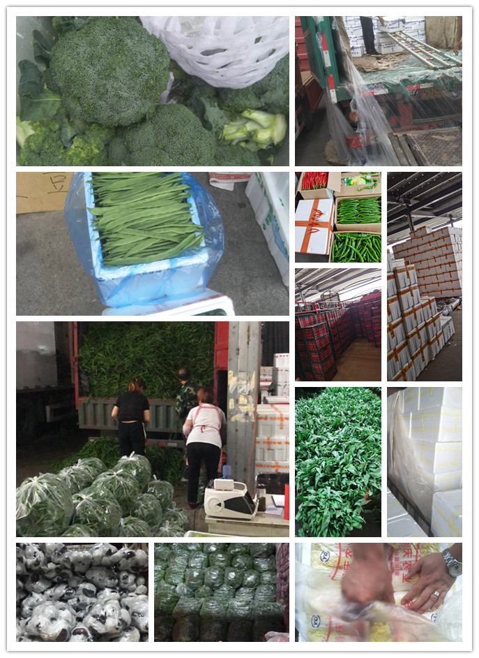 bti体育平台·(中国)官方网站