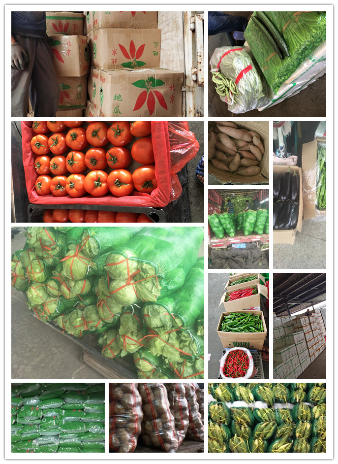 bti体育平台·(中国)官方网站