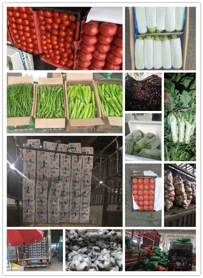 bti体育平台·(中国)官方网站