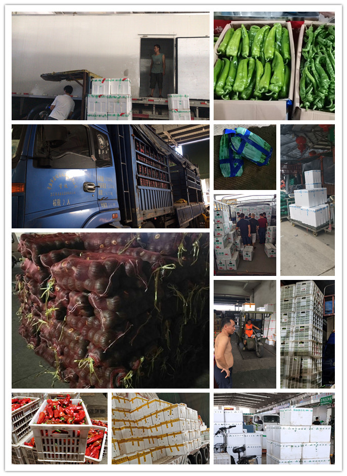 bti体育平台·(中国)官方网站