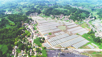 bti体育平台·(中国)官方网站