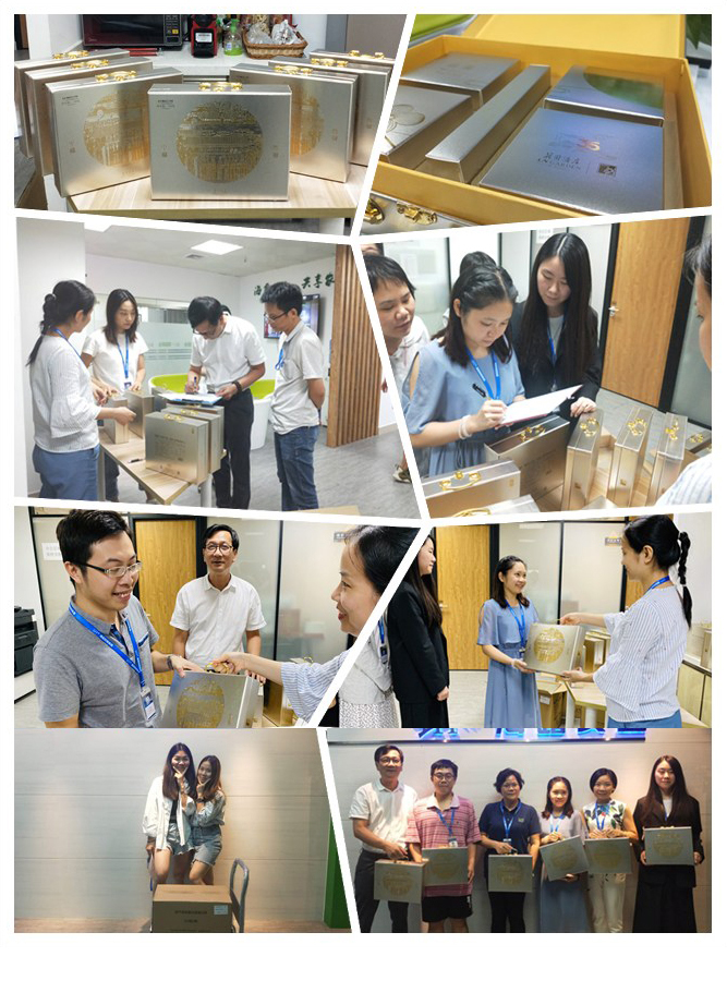 bti体育平台·(中国)官方网站