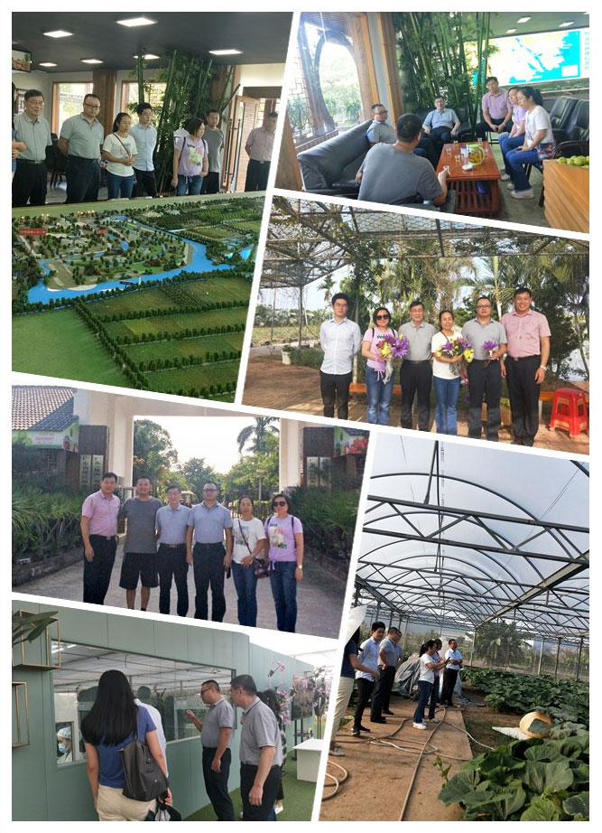 bti体育平台·(中国)官方网站