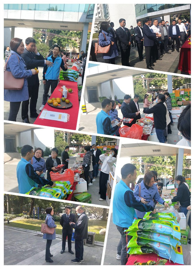 bti体育平台·(中国)官方网站