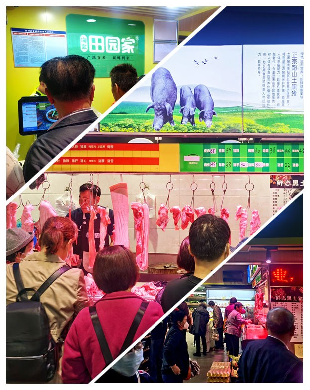 bti体育平台·(中国)官方网站