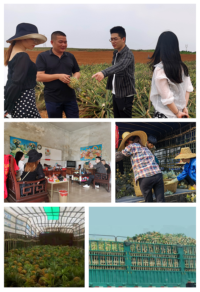 bti体育平台·(中国)官方网站