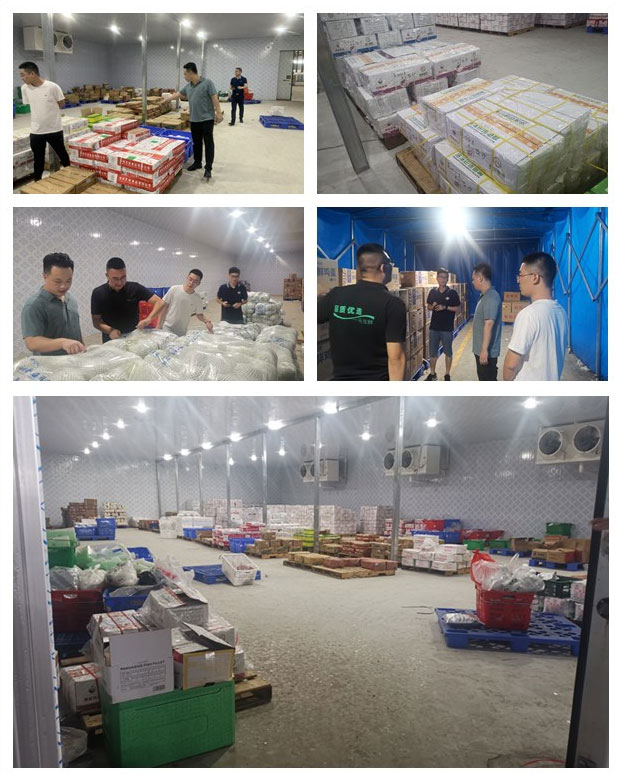 bti体育平台·(中国)官方网站