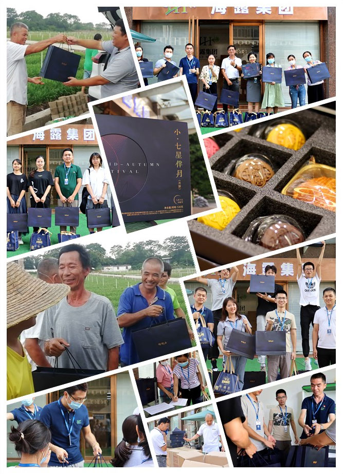 bti体育平台·(中国)官方网站