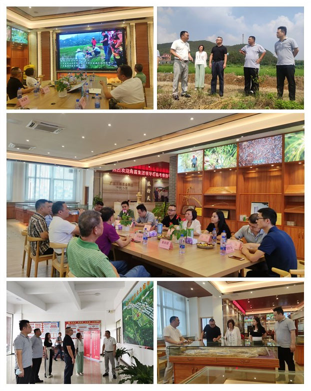 bti体育平台·(中国)官方网站