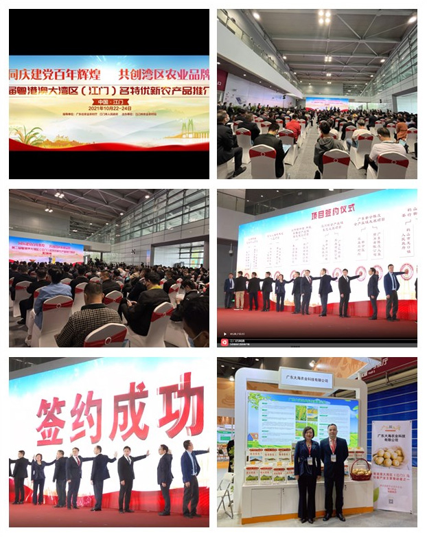 bti体育平台·(中国)官方网站